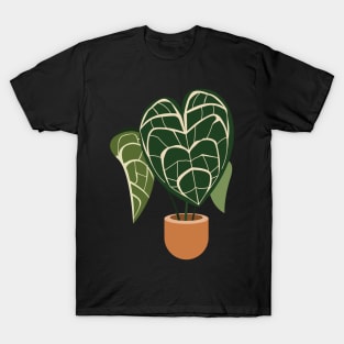 Anthurium clarinervium plant in a pot T-Shirt